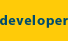 developer